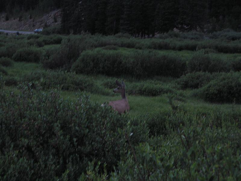 Mt Evans 070.JPG